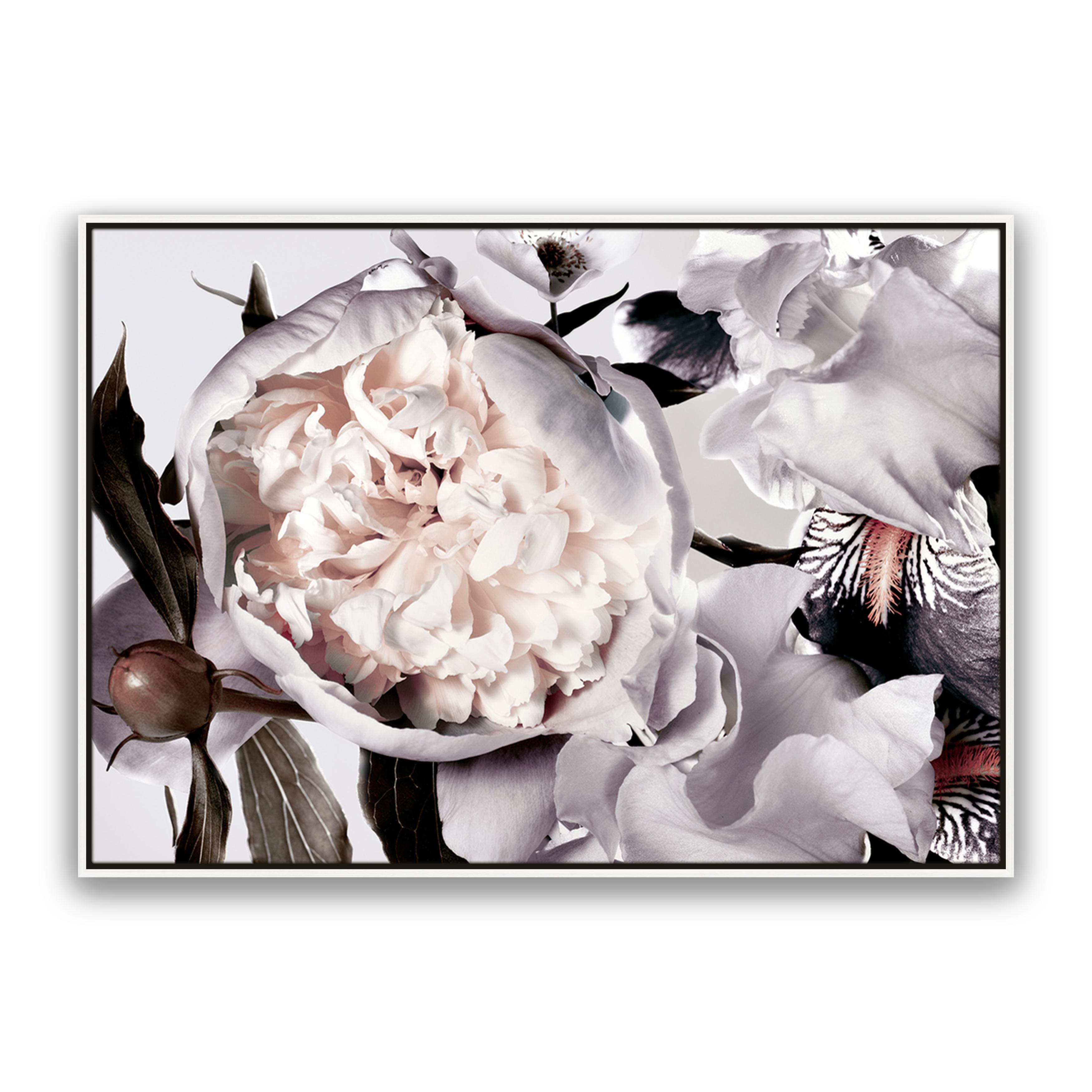 Peony And Iris Muted