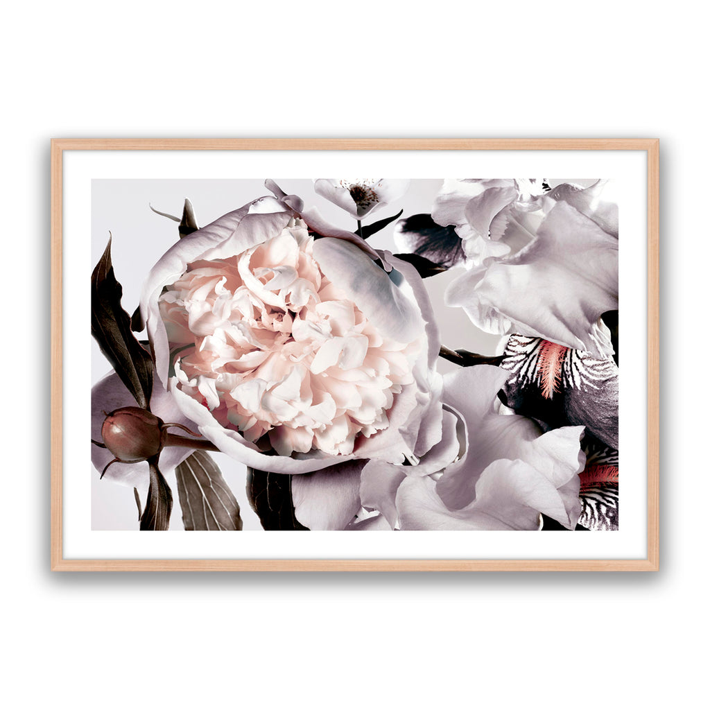 Peony And Iris Muted