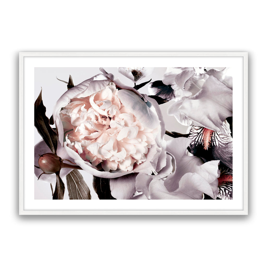 Peony And Iris Muted