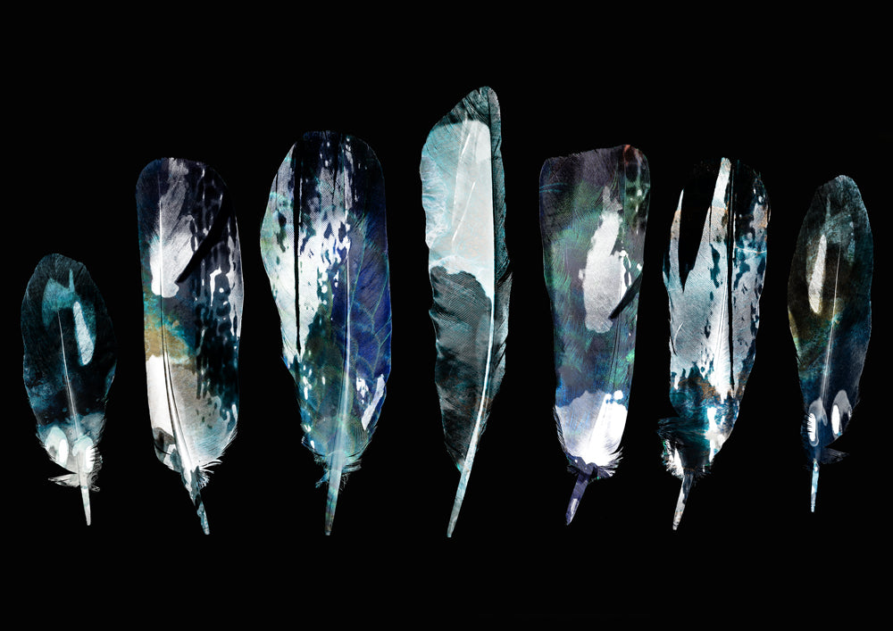 Blue Feathers Landscape