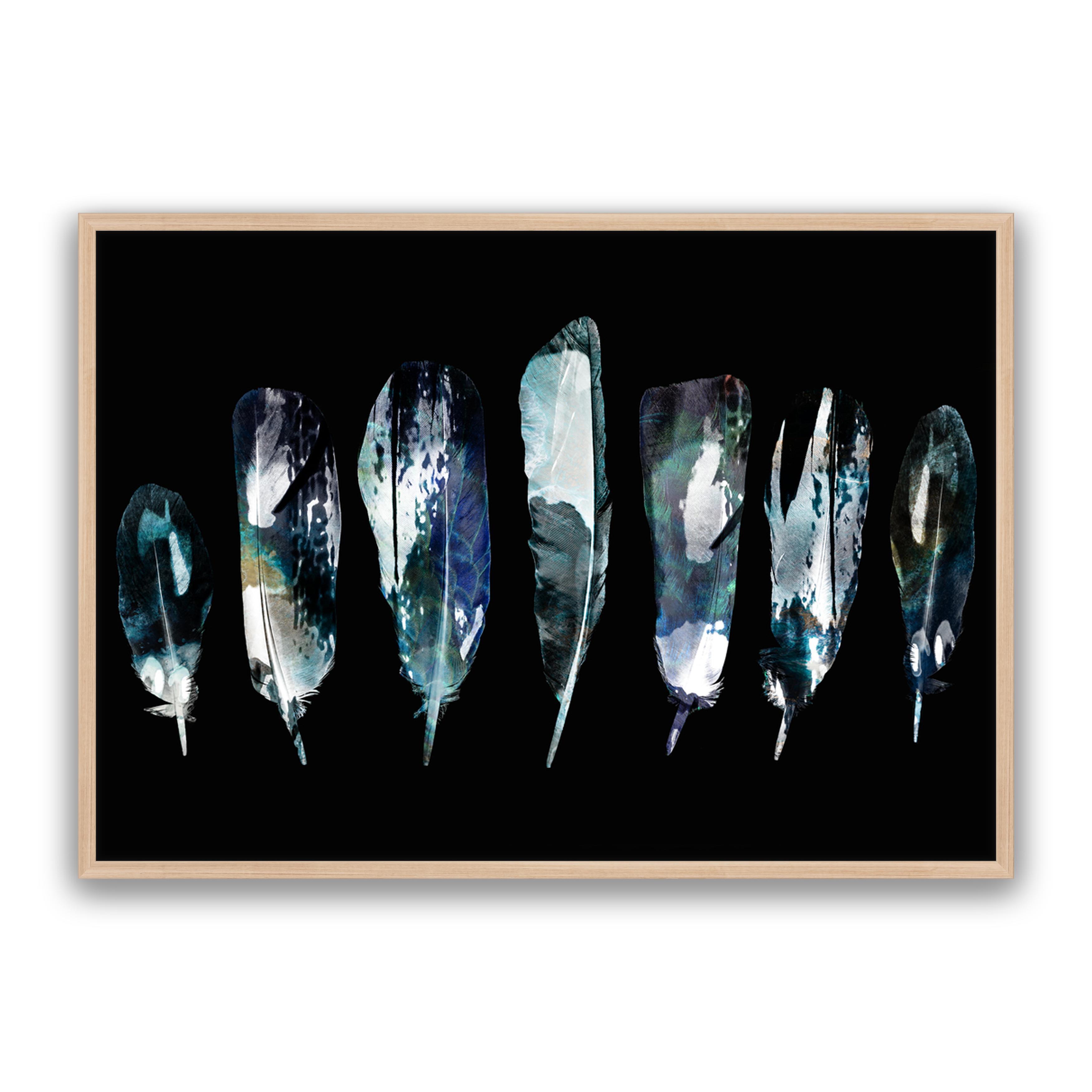 Blue Feathers Landscape