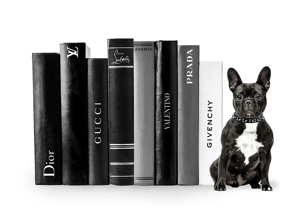Fashion Books French Bulldog
