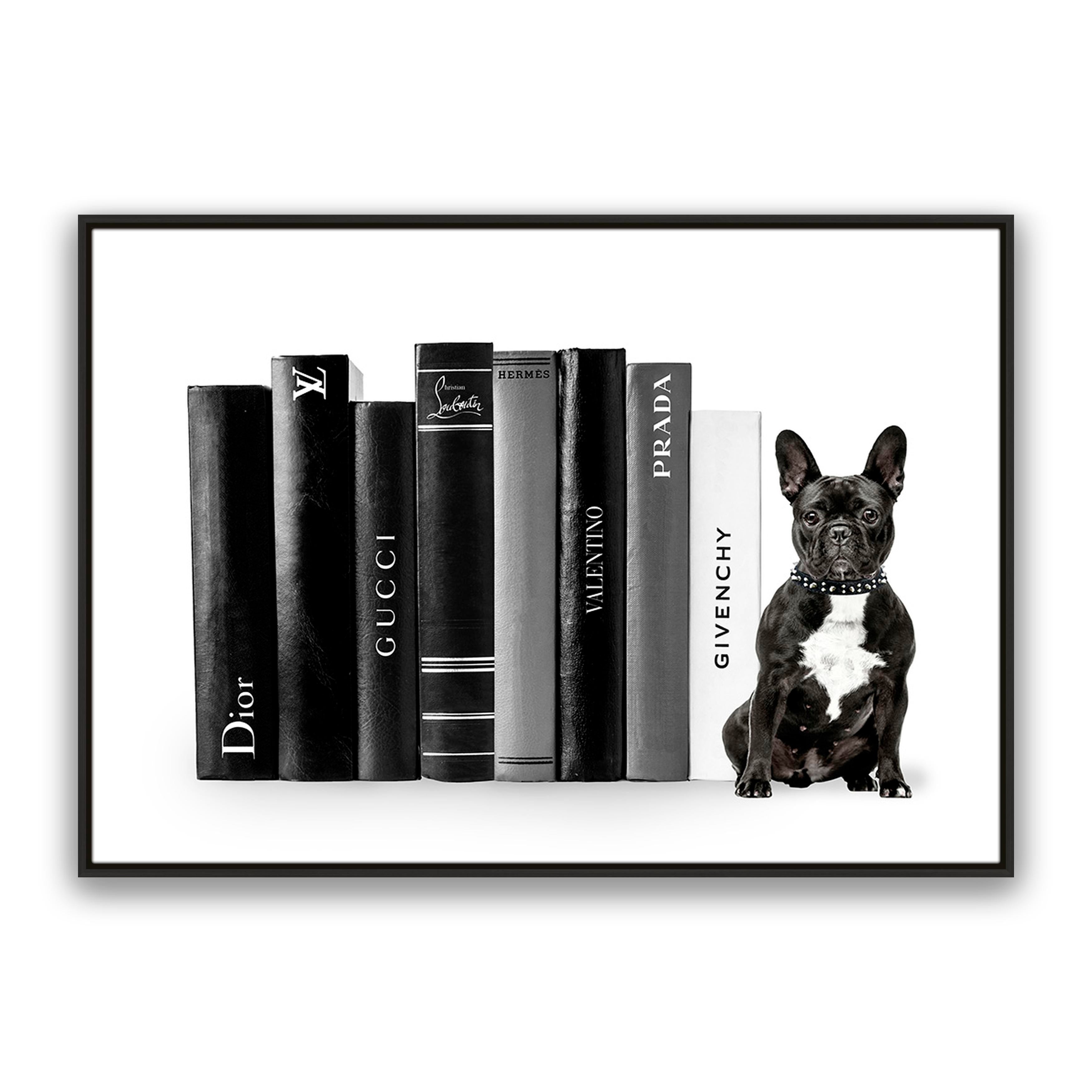 Fashion Books French Bulldog