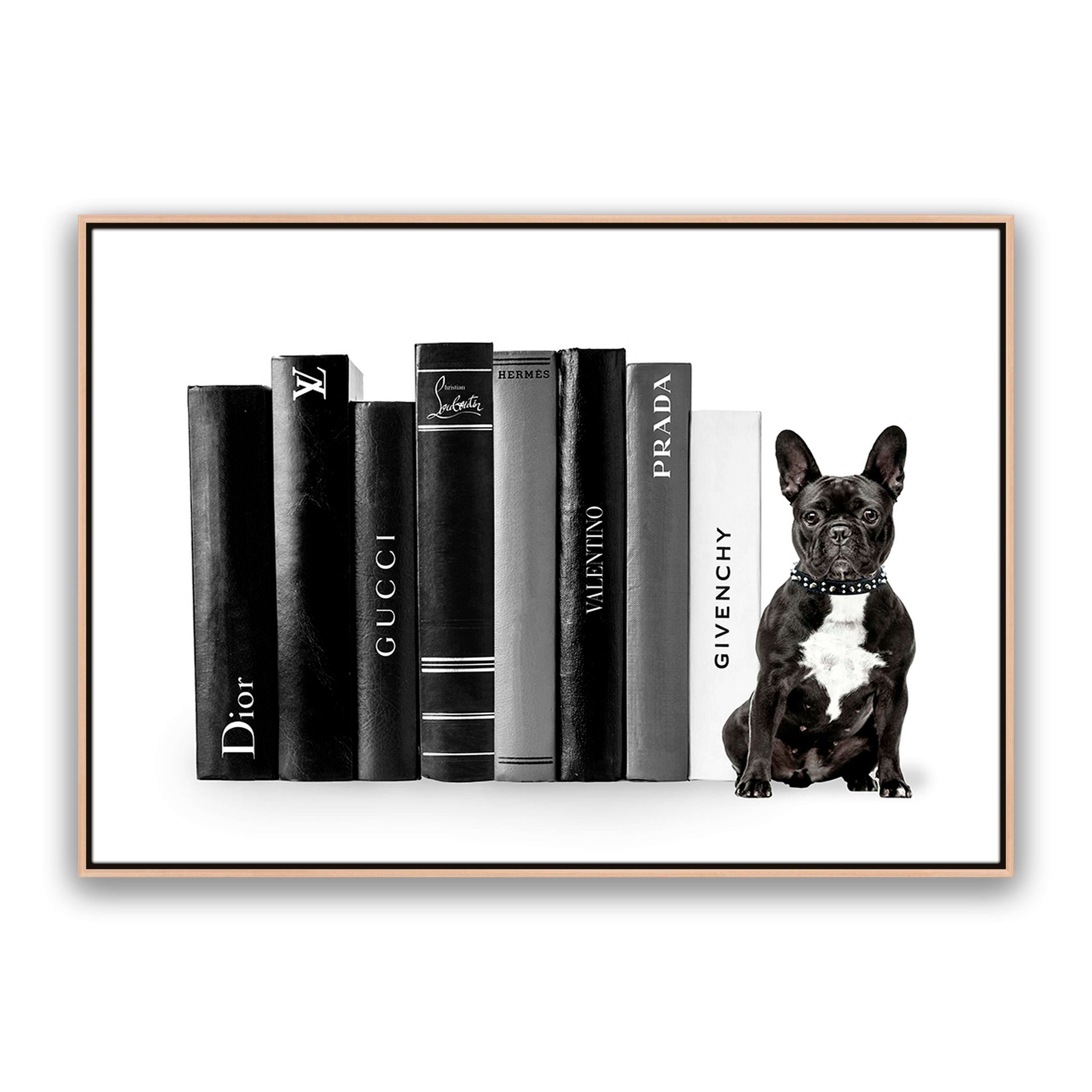 Fashion Books French Bulldog