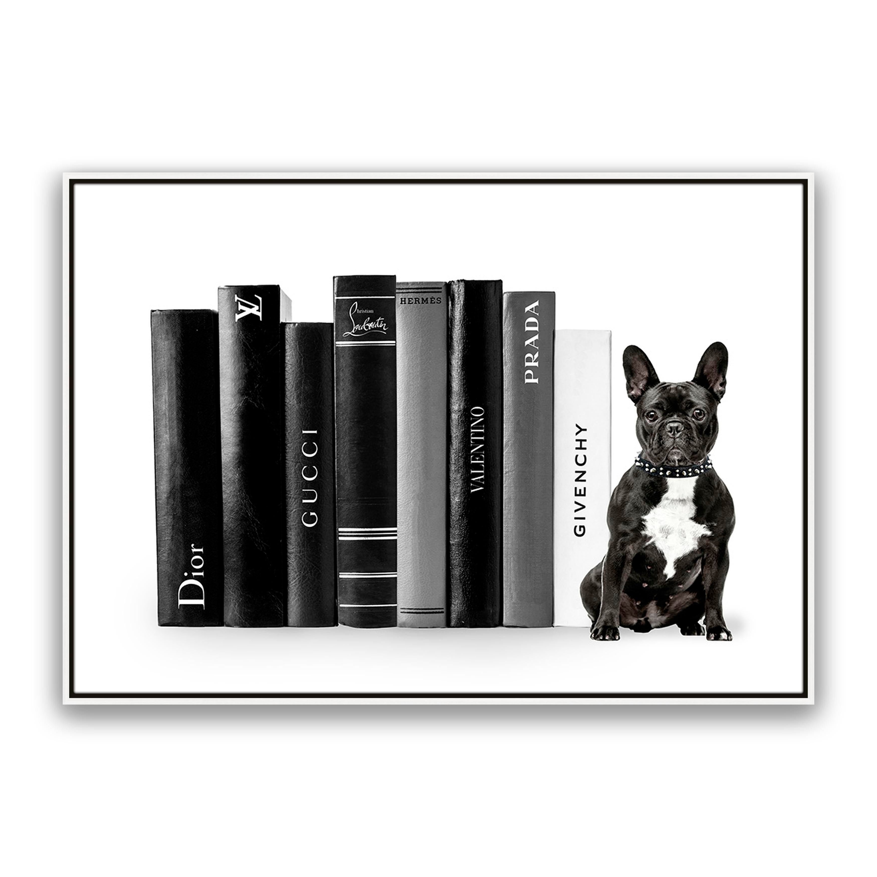 Fashion Books French Bulldog