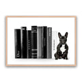 Fashion Books French Bulldog