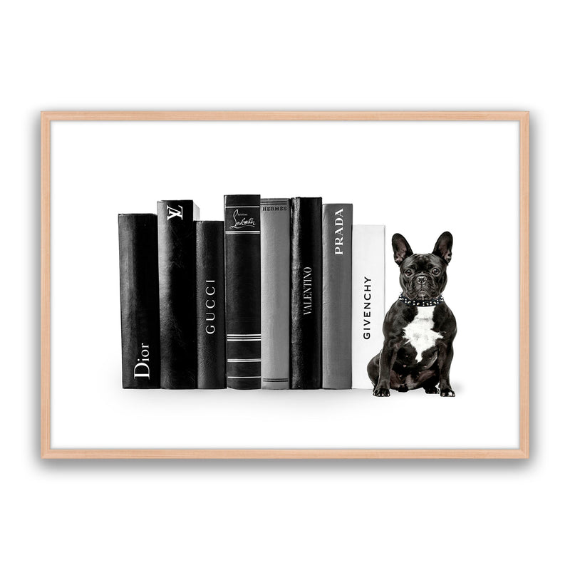 Fashion Books French Bulldog