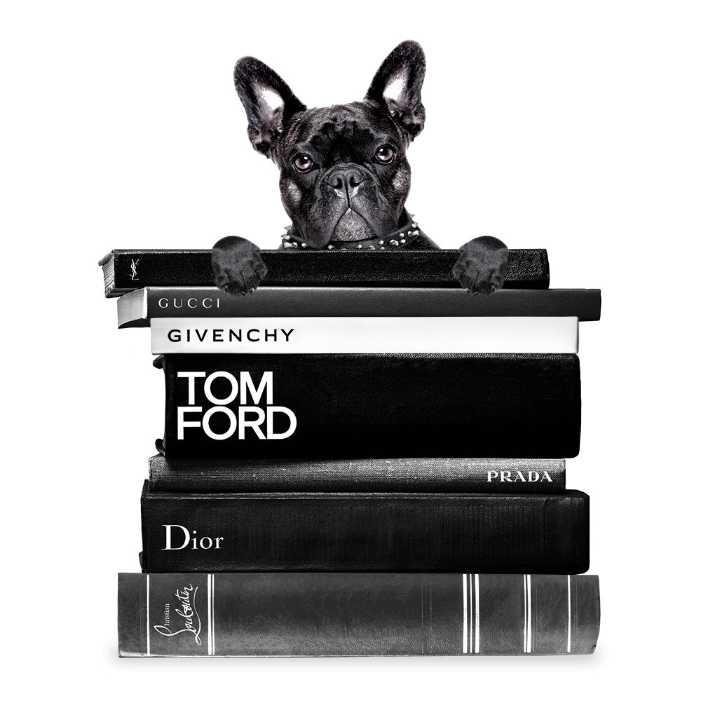Book Stack French Bulldog