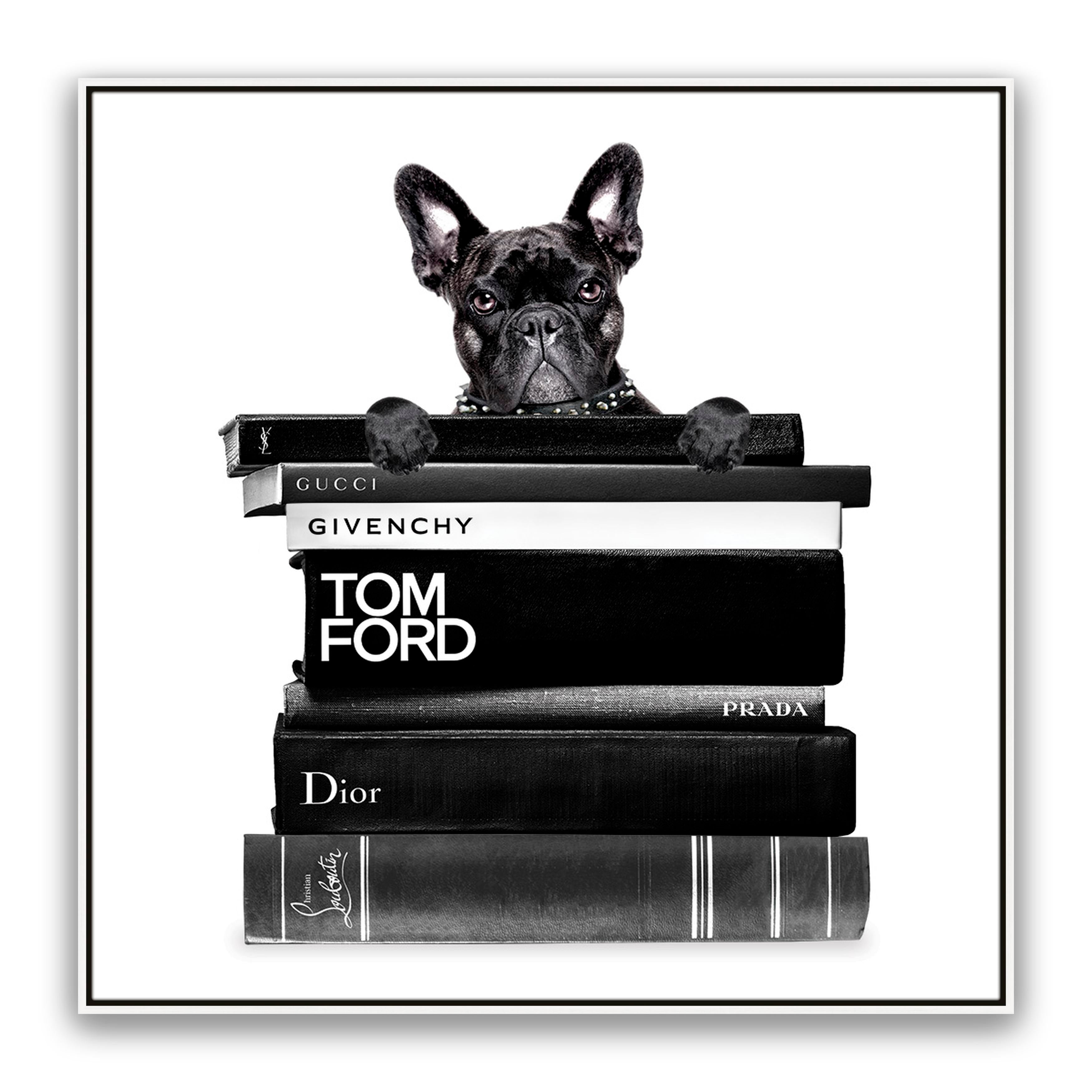 Book Stack French Bulldog