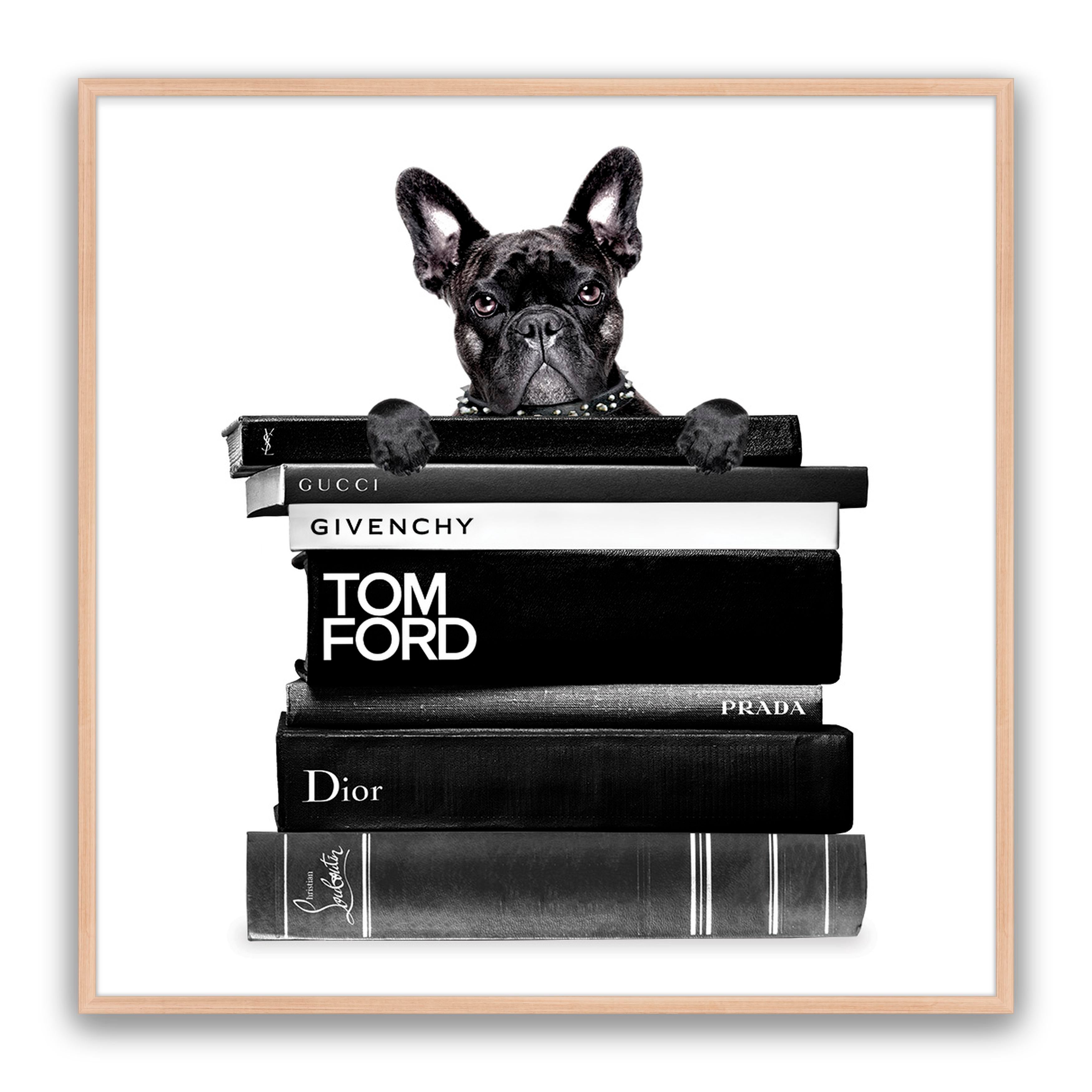 Book Stack French Bulldog