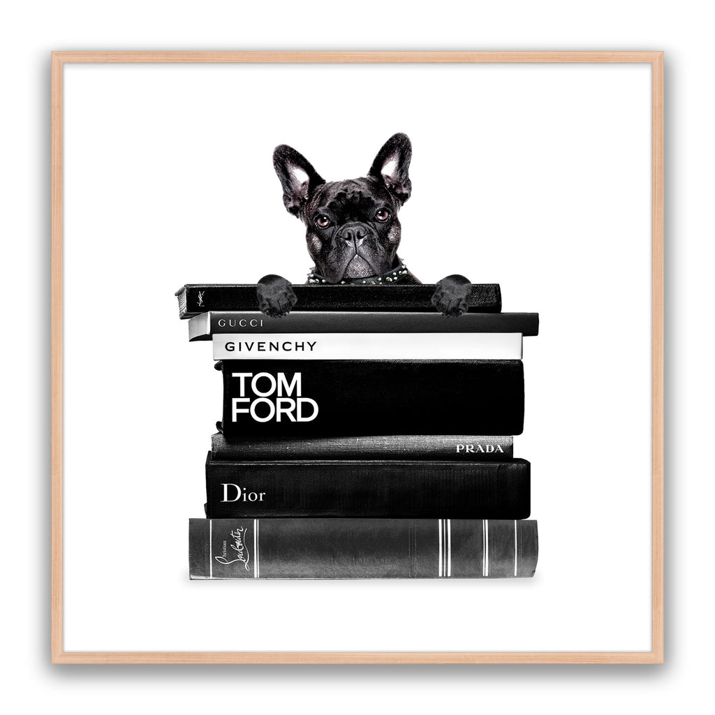 Book Stack French Bulldog
