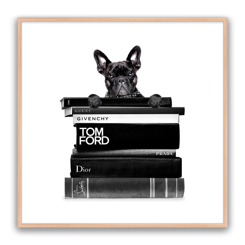 Book Stack French Bulldog