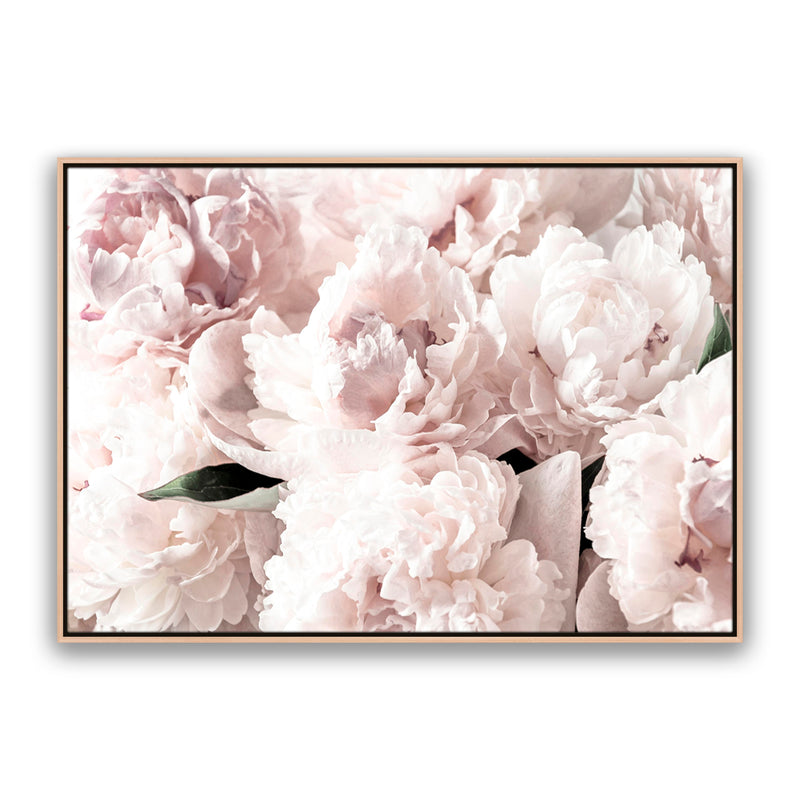 Blush Floral
