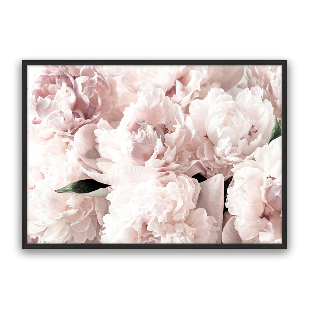 Blush Floral
