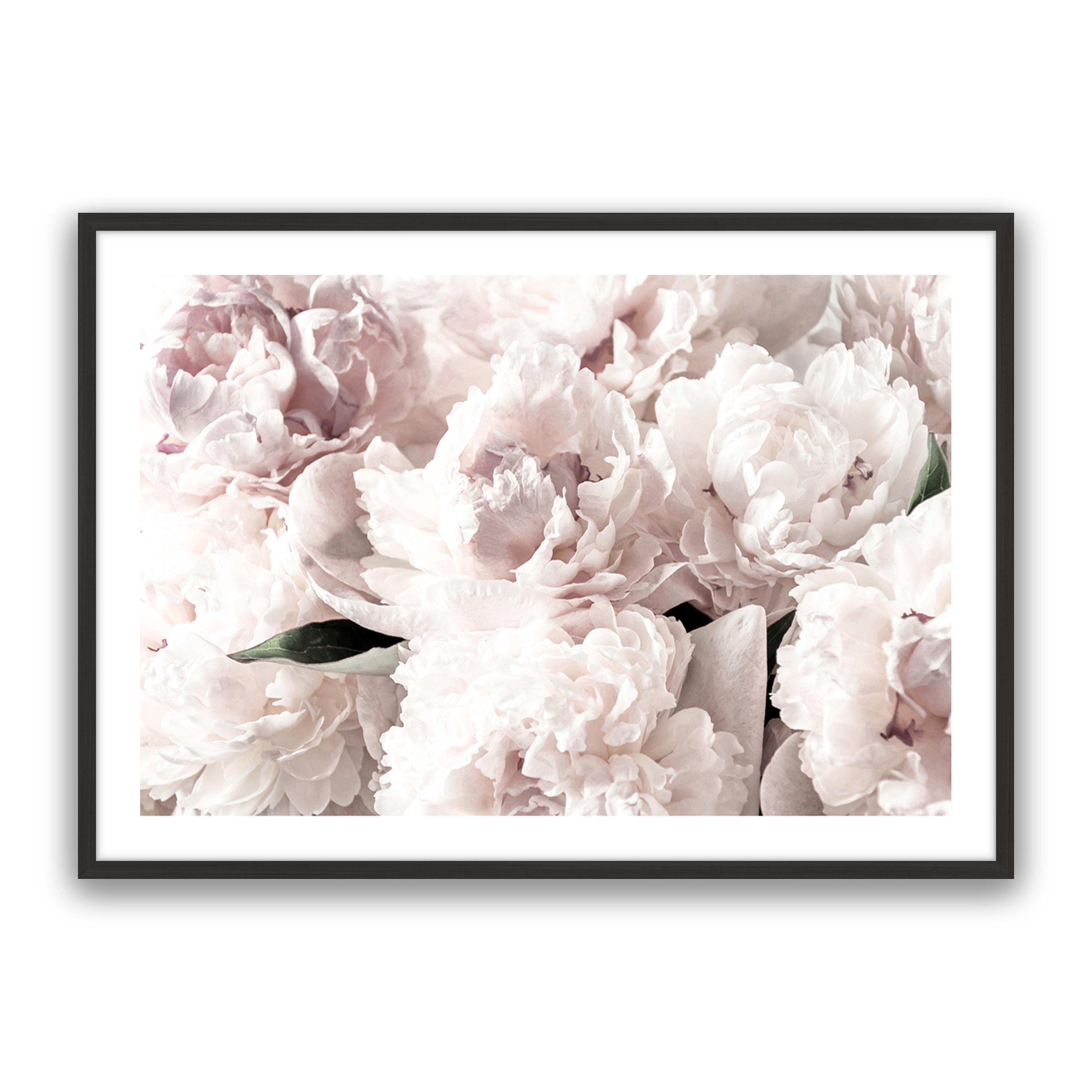 Blush Floral