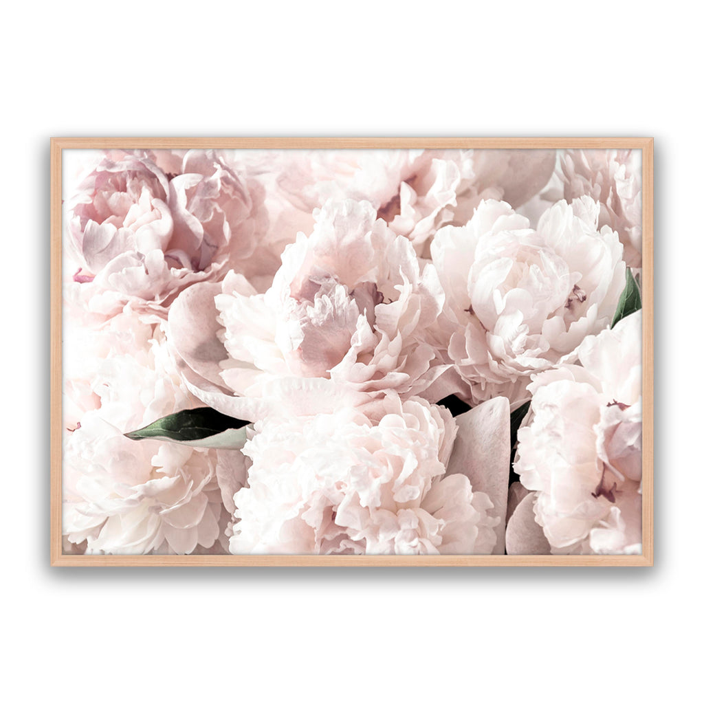 Blush Floral