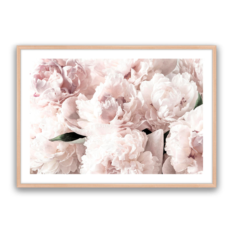 Blush Floral