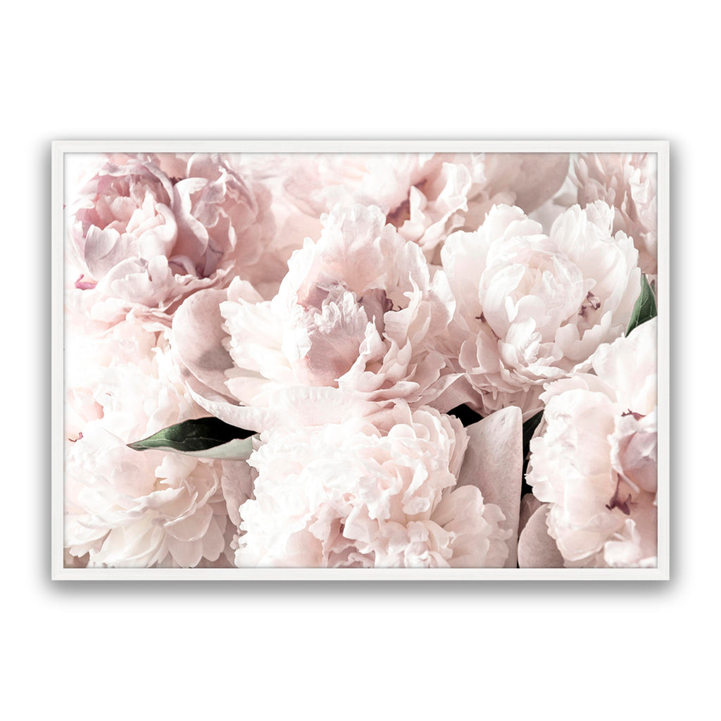 Blush Floral