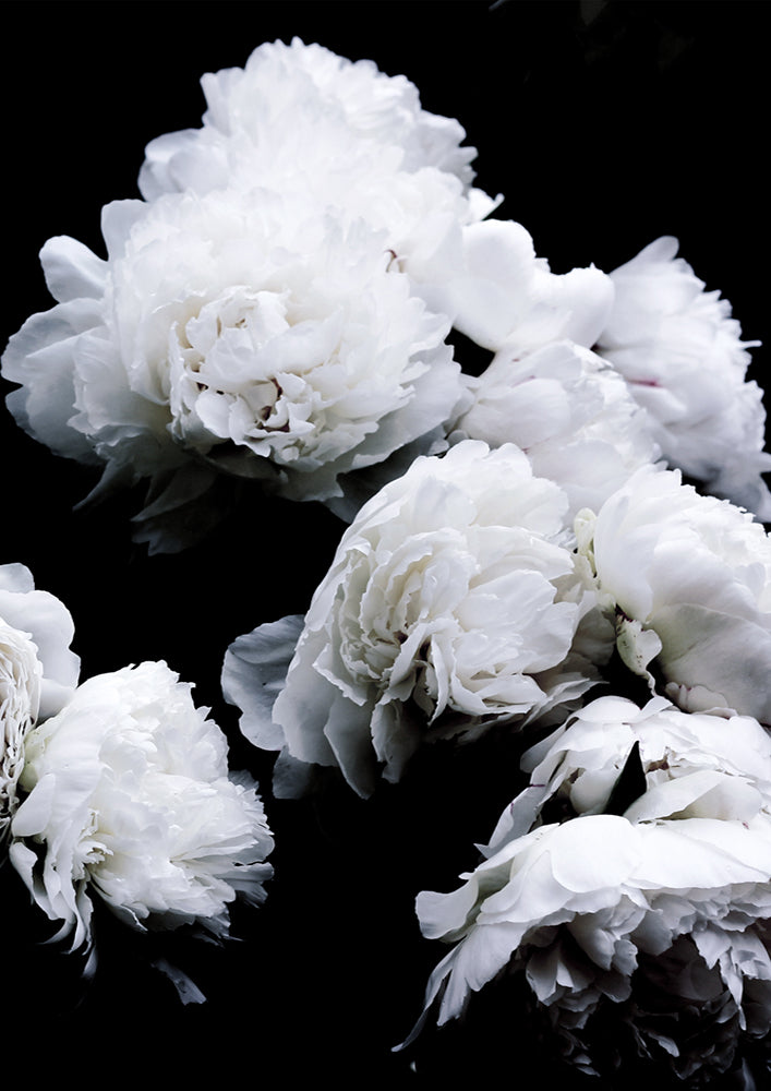 Moody Floral