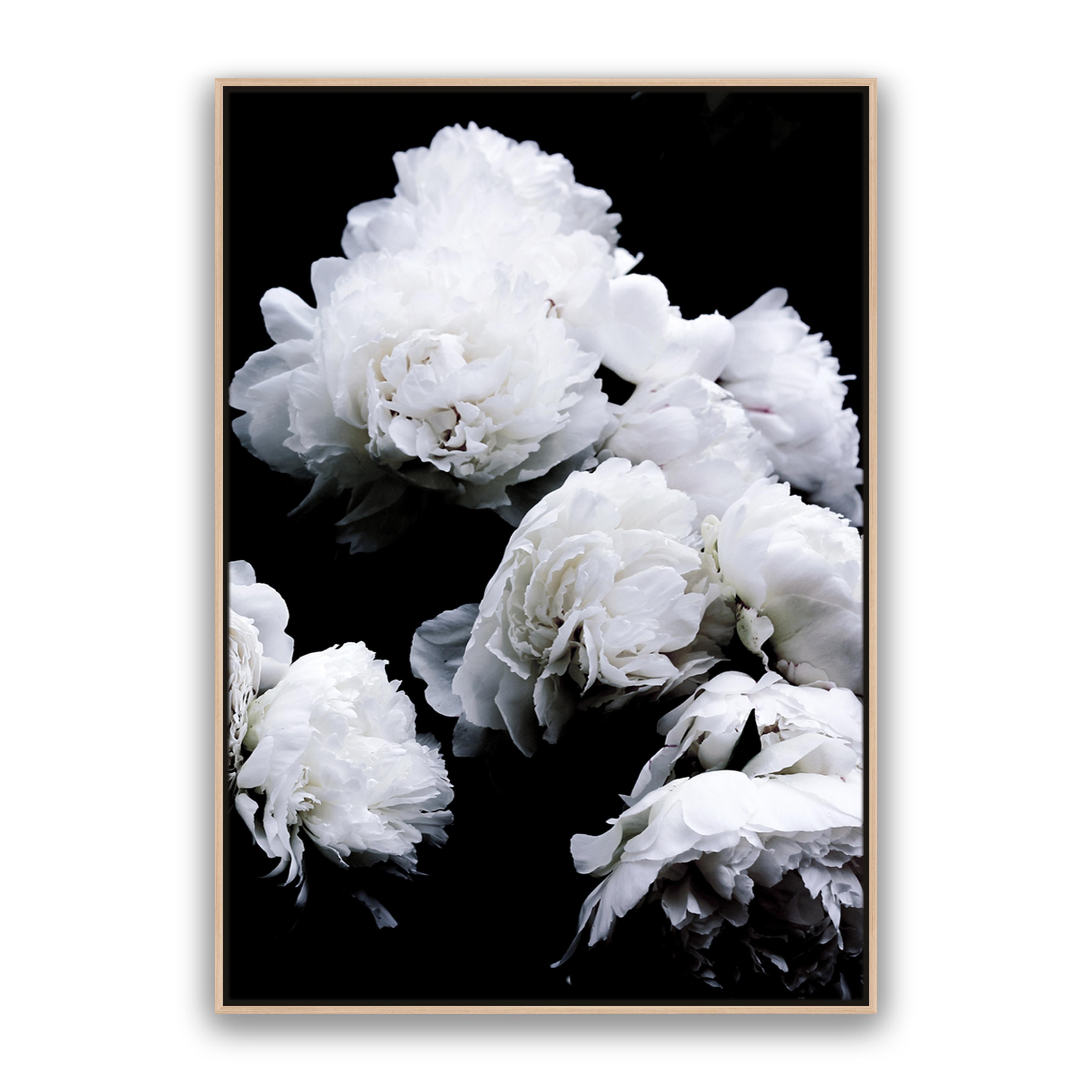 Moody Floral