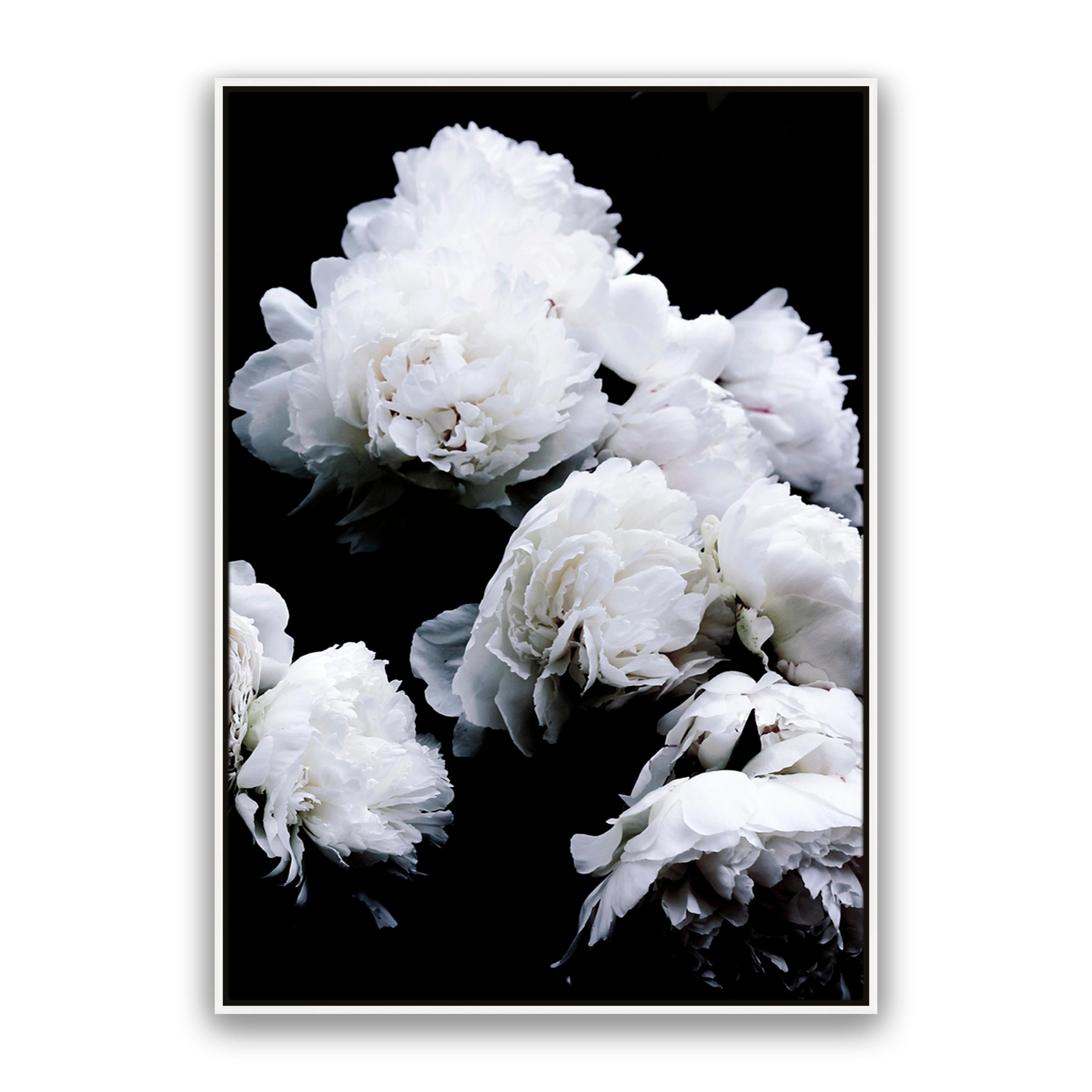 Moody Floral