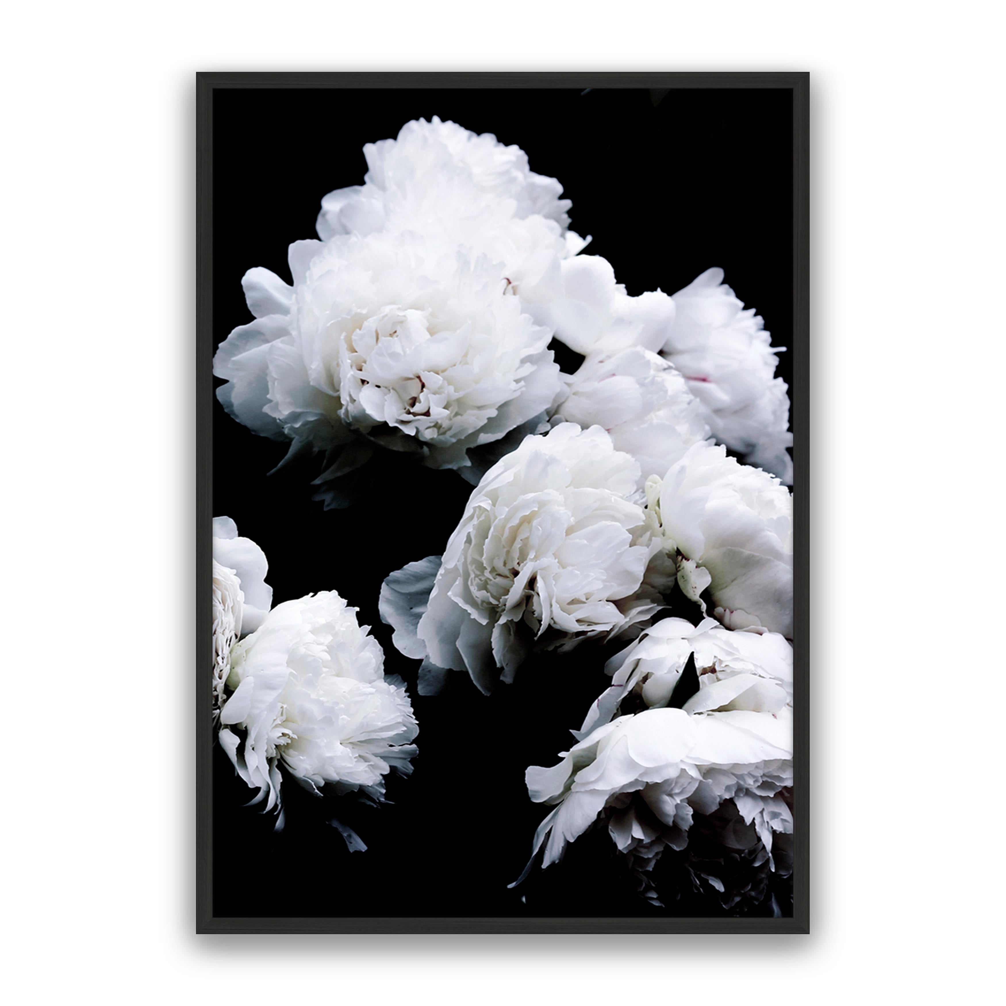 Moody Floral