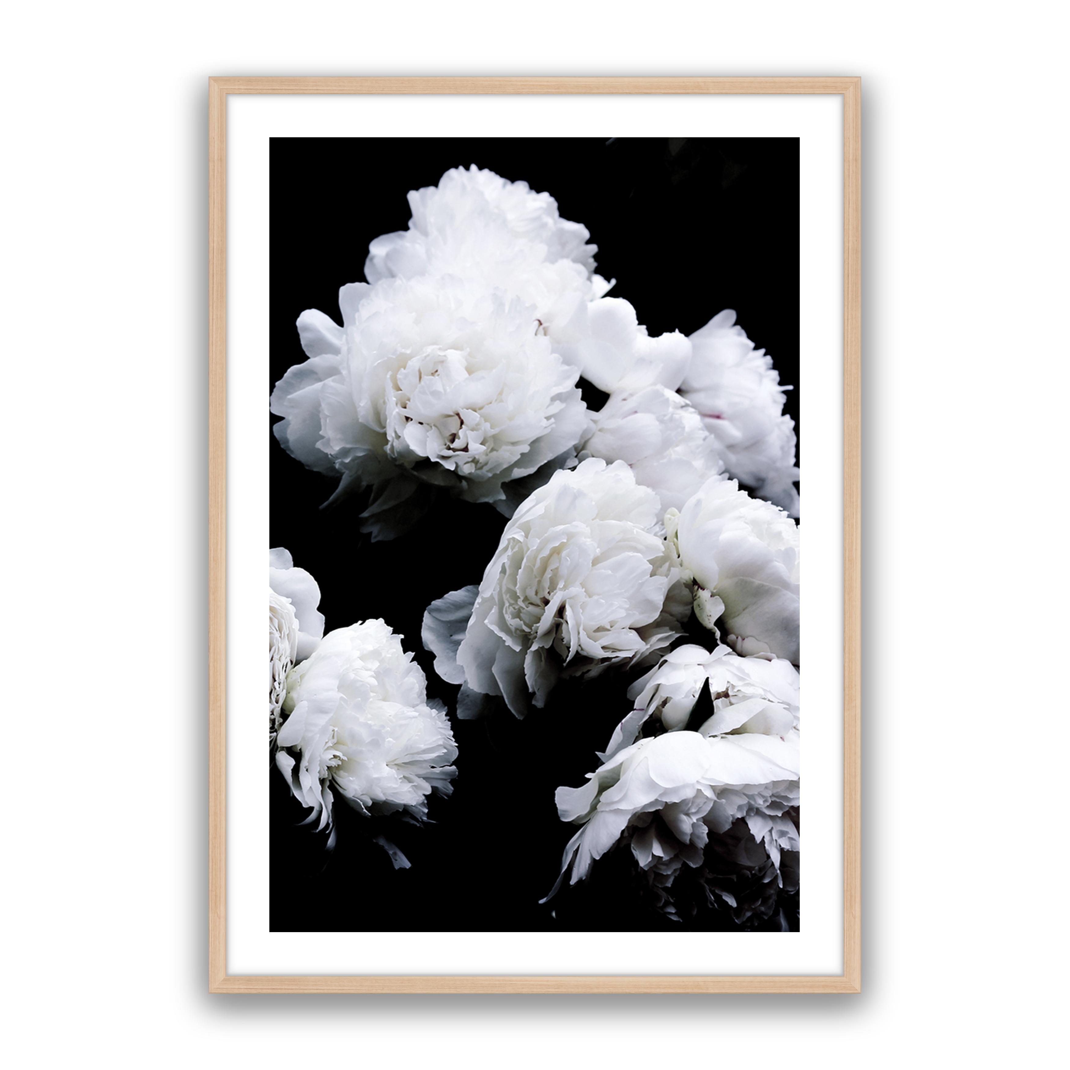 Moody Floral
