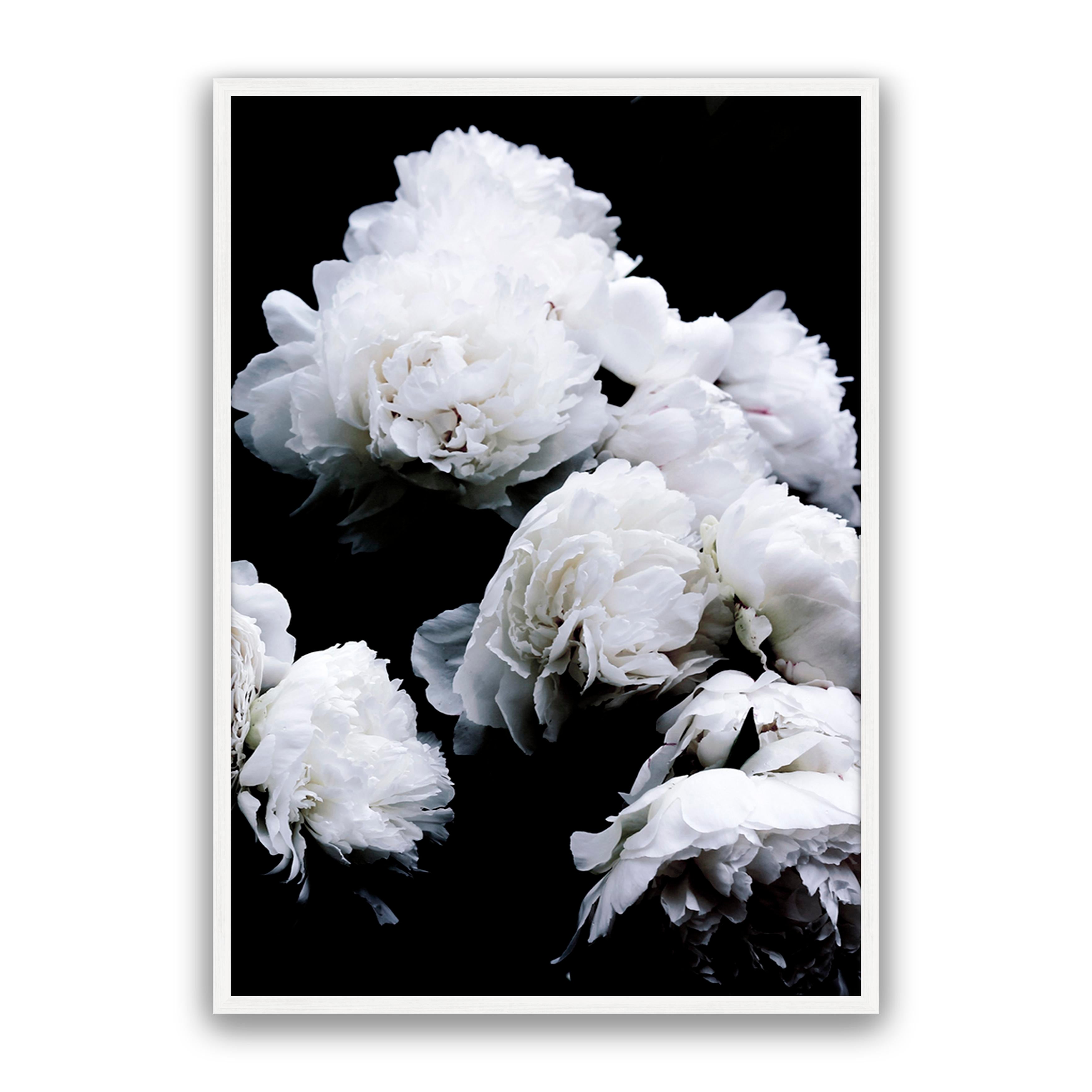 Moody Floral