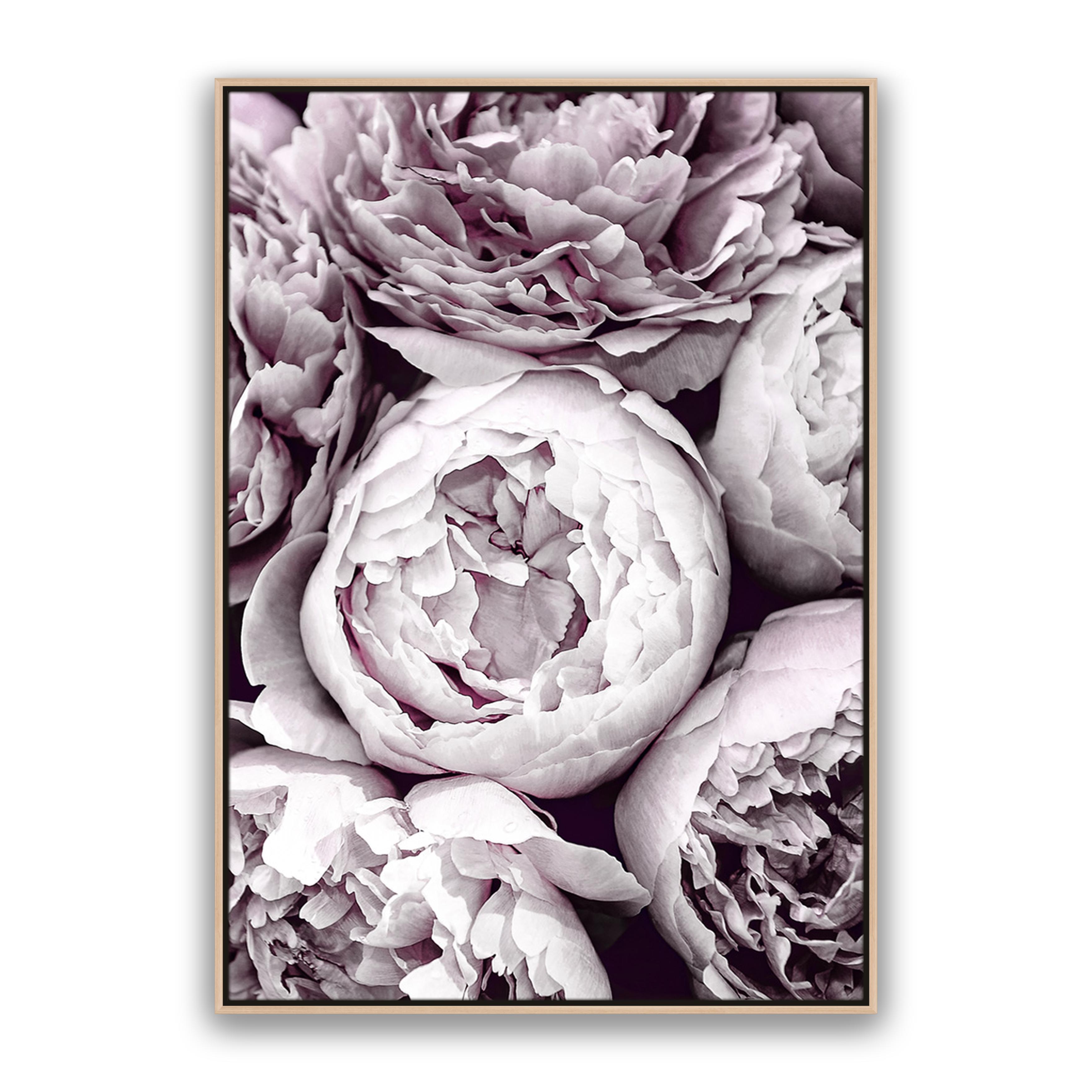 Blush Peonies