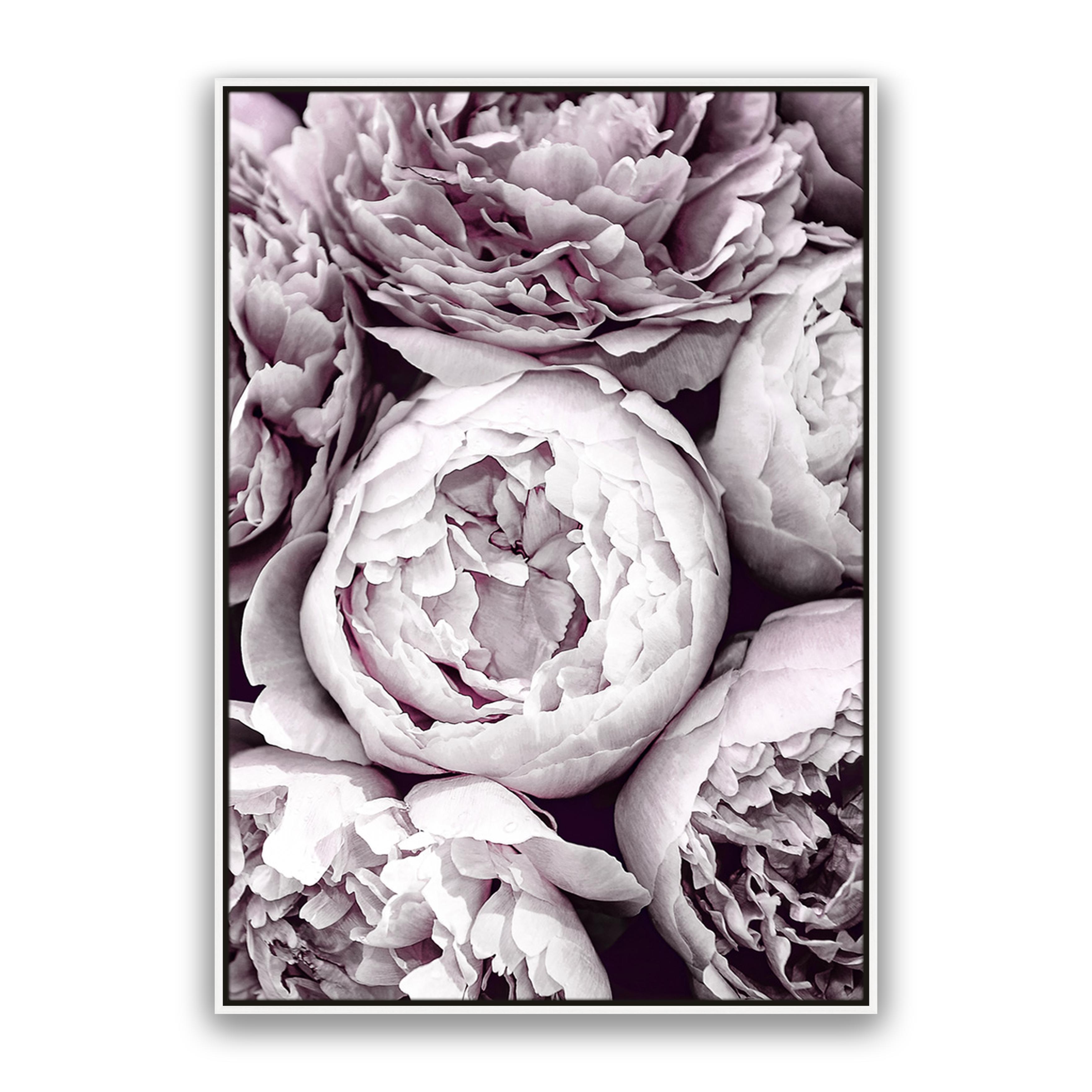 Blush Peonies