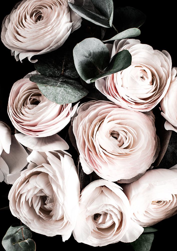 Blush Blooms