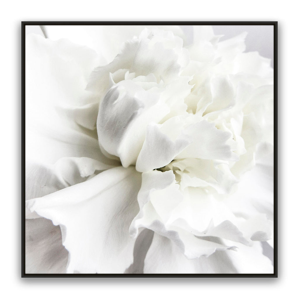 Whire Minimal Floral