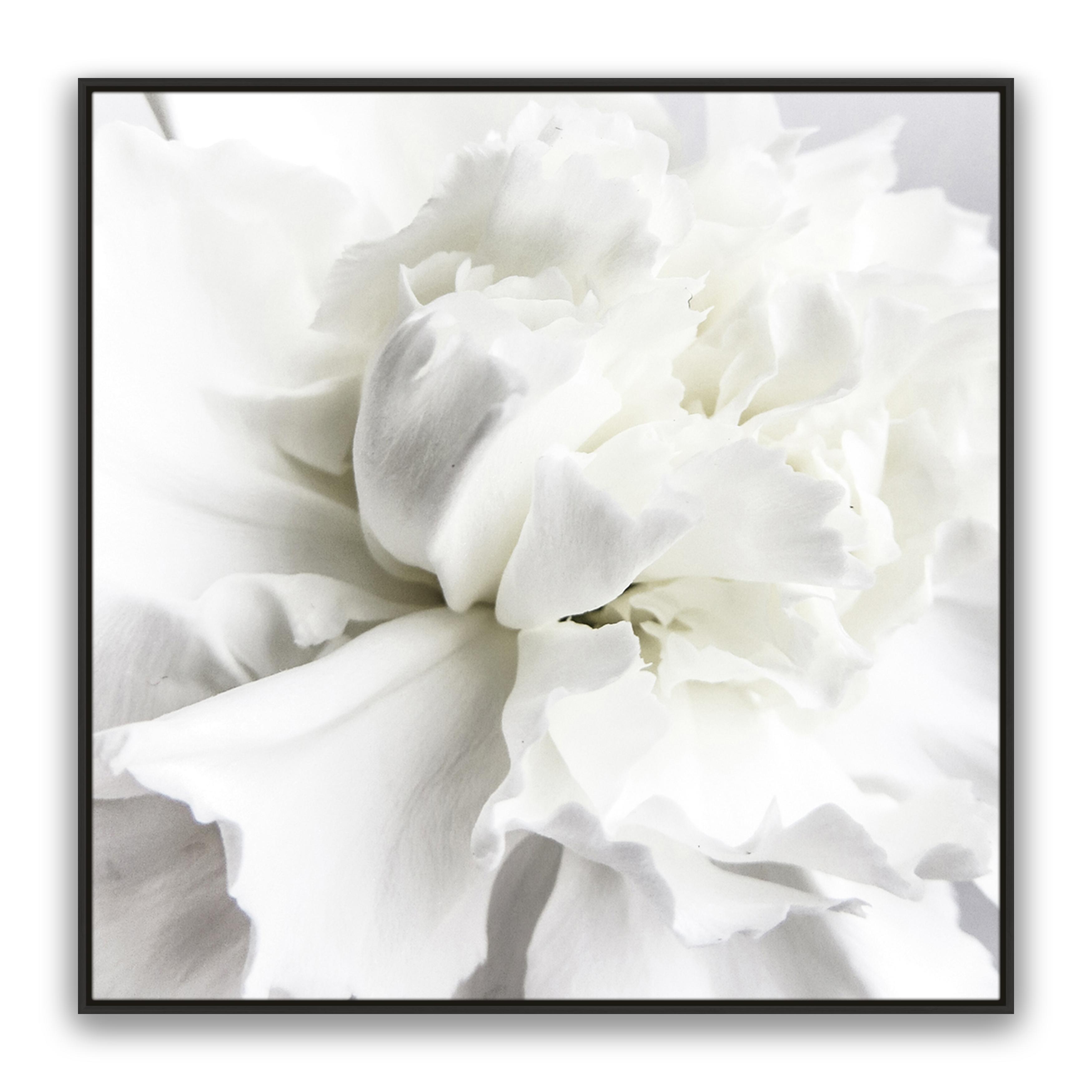 Whire Minimal Floral