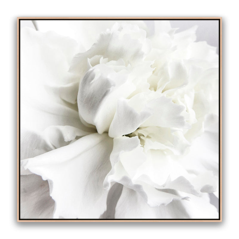 Whire Minimal Floral