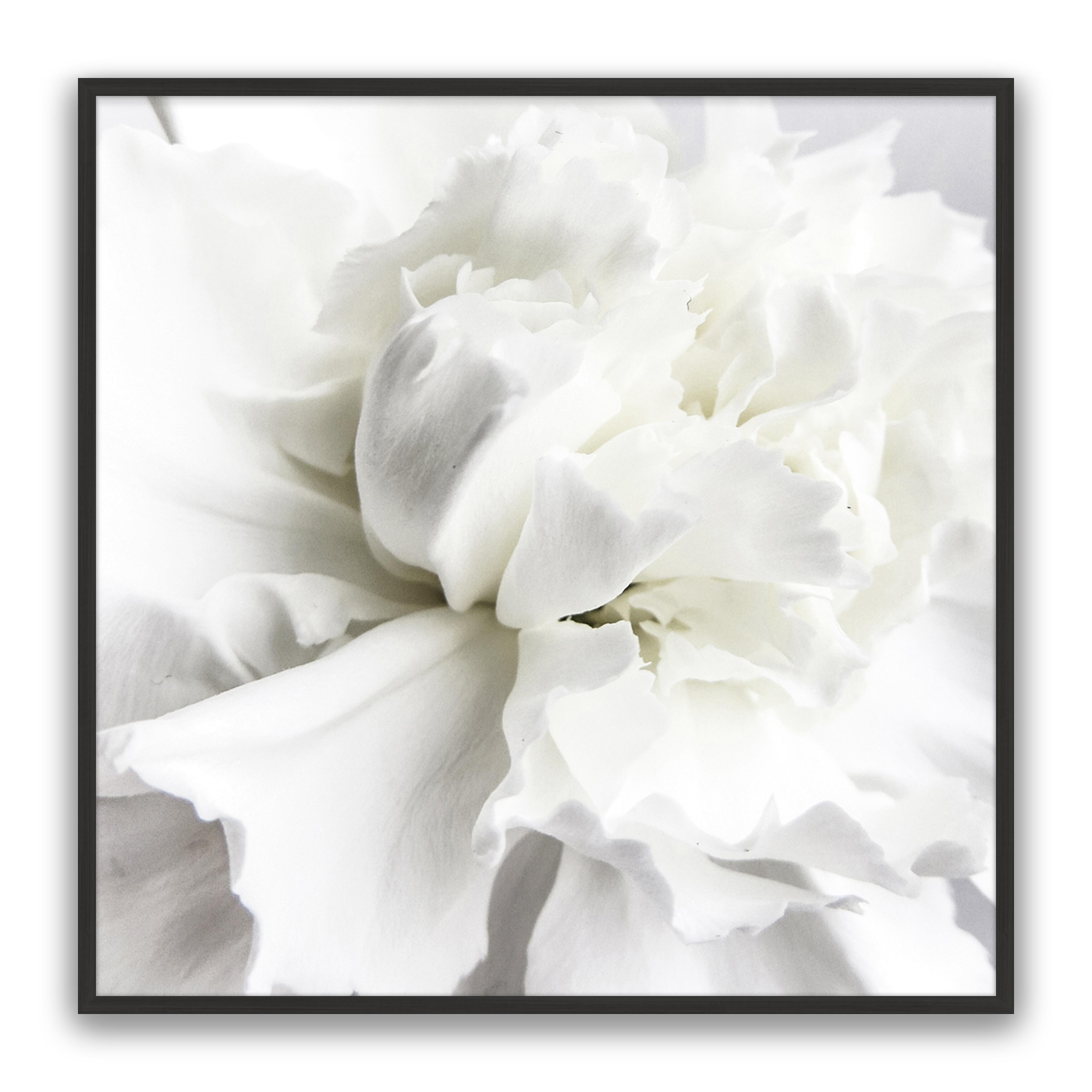Whire Minimal Floral
