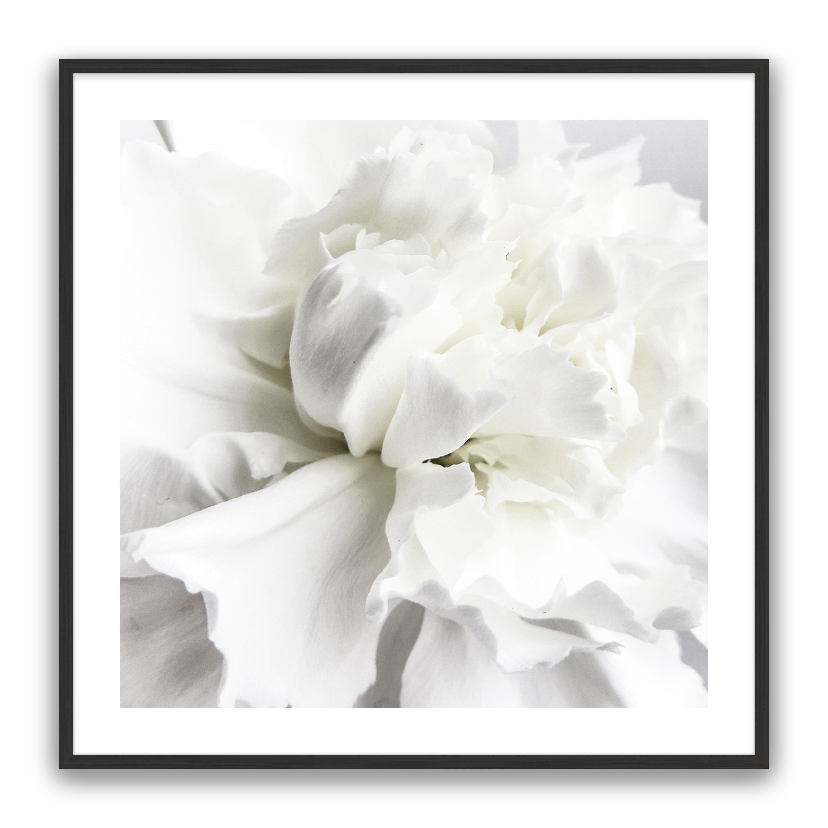 Whire Minimal Floral