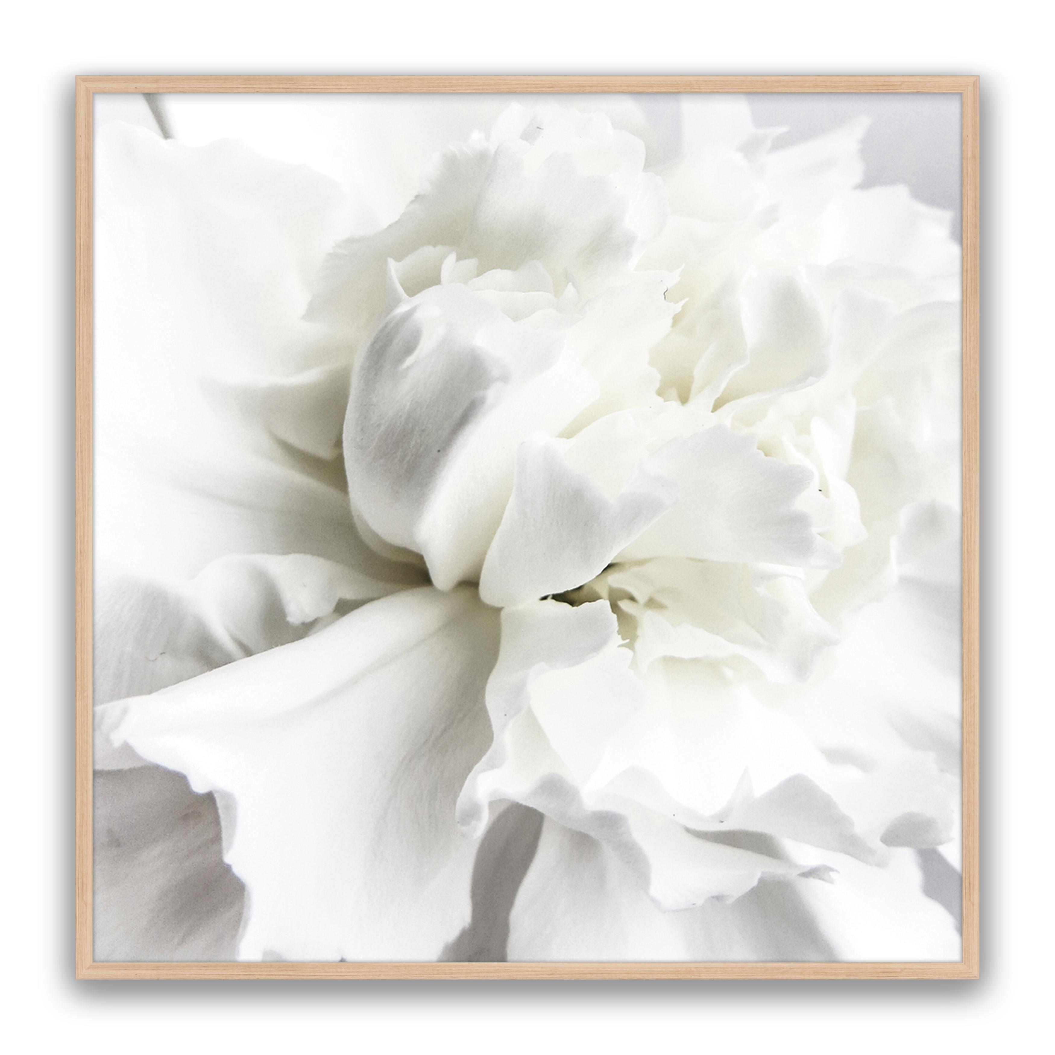 Whire Minimal Floral