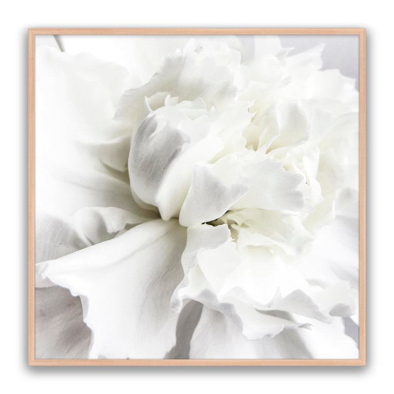 Whire Minimal Floral