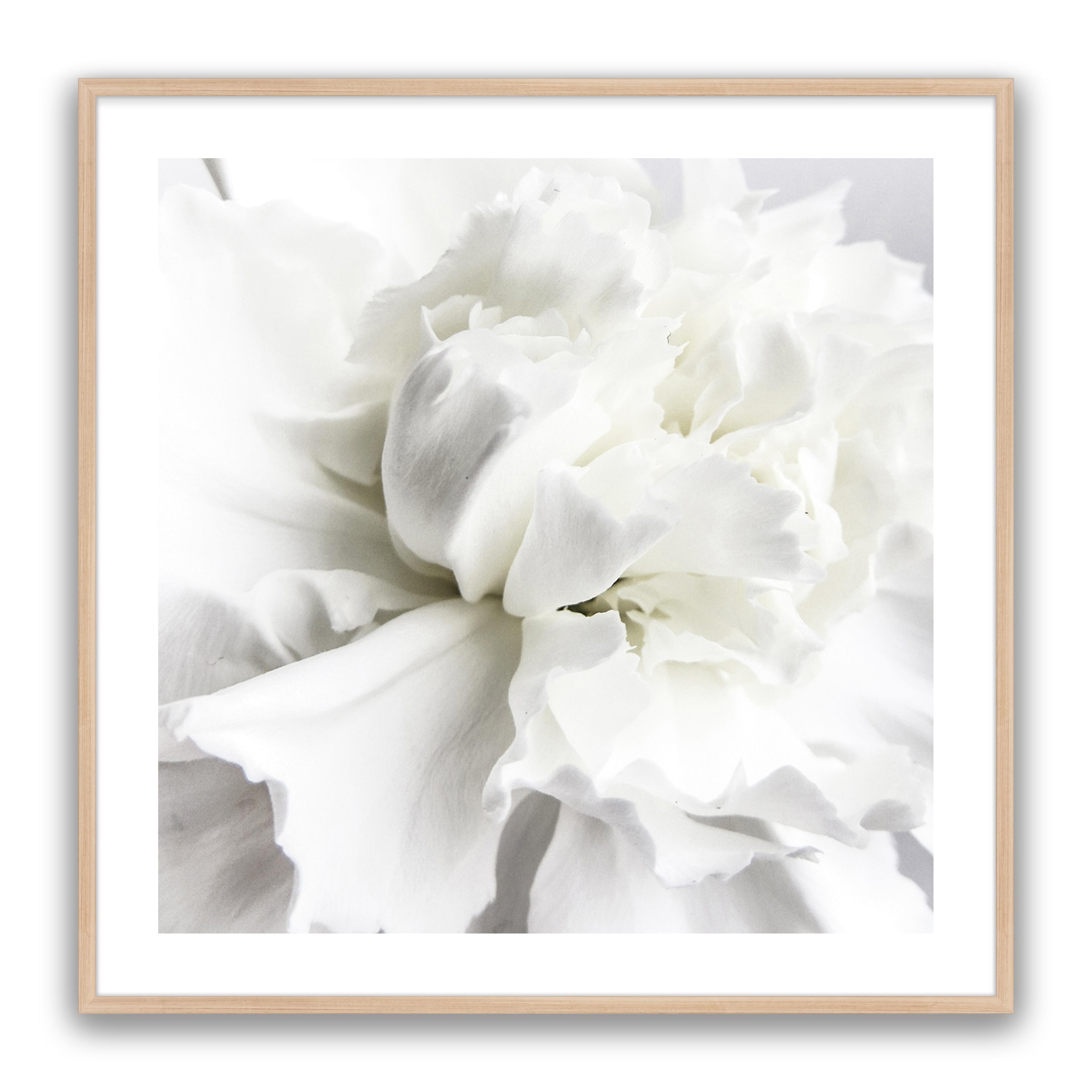 Whire Minimal Floral