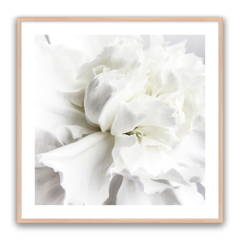 Whire Minimal Floral
