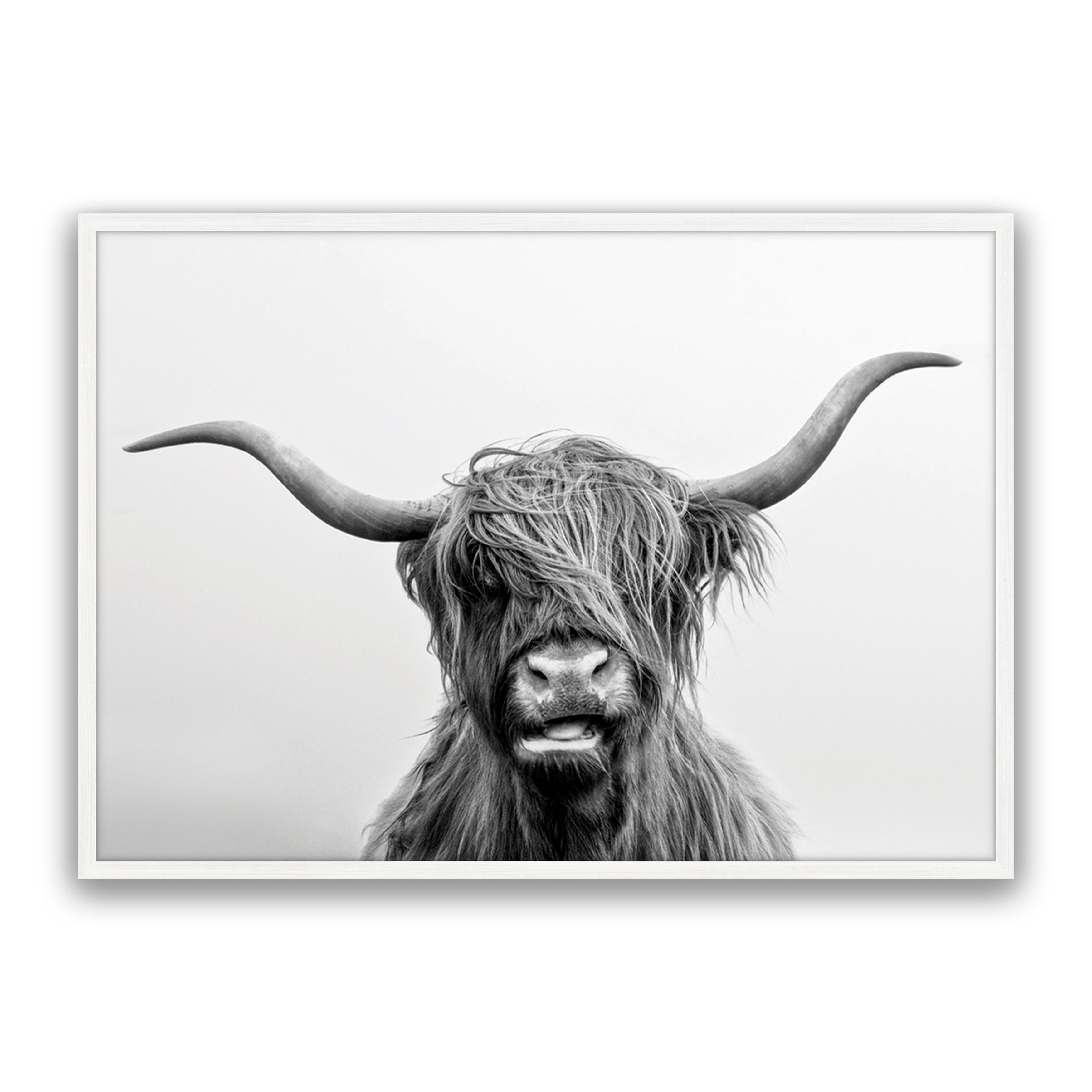 Billy