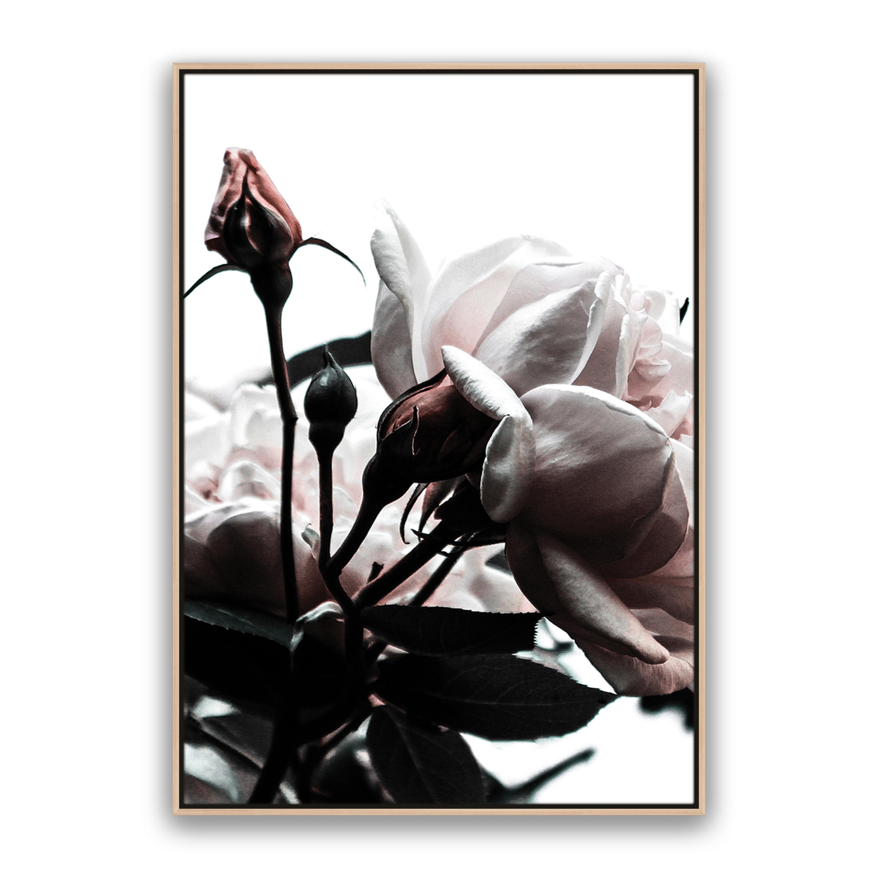 Rosebud
