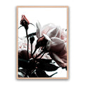 Rosebud