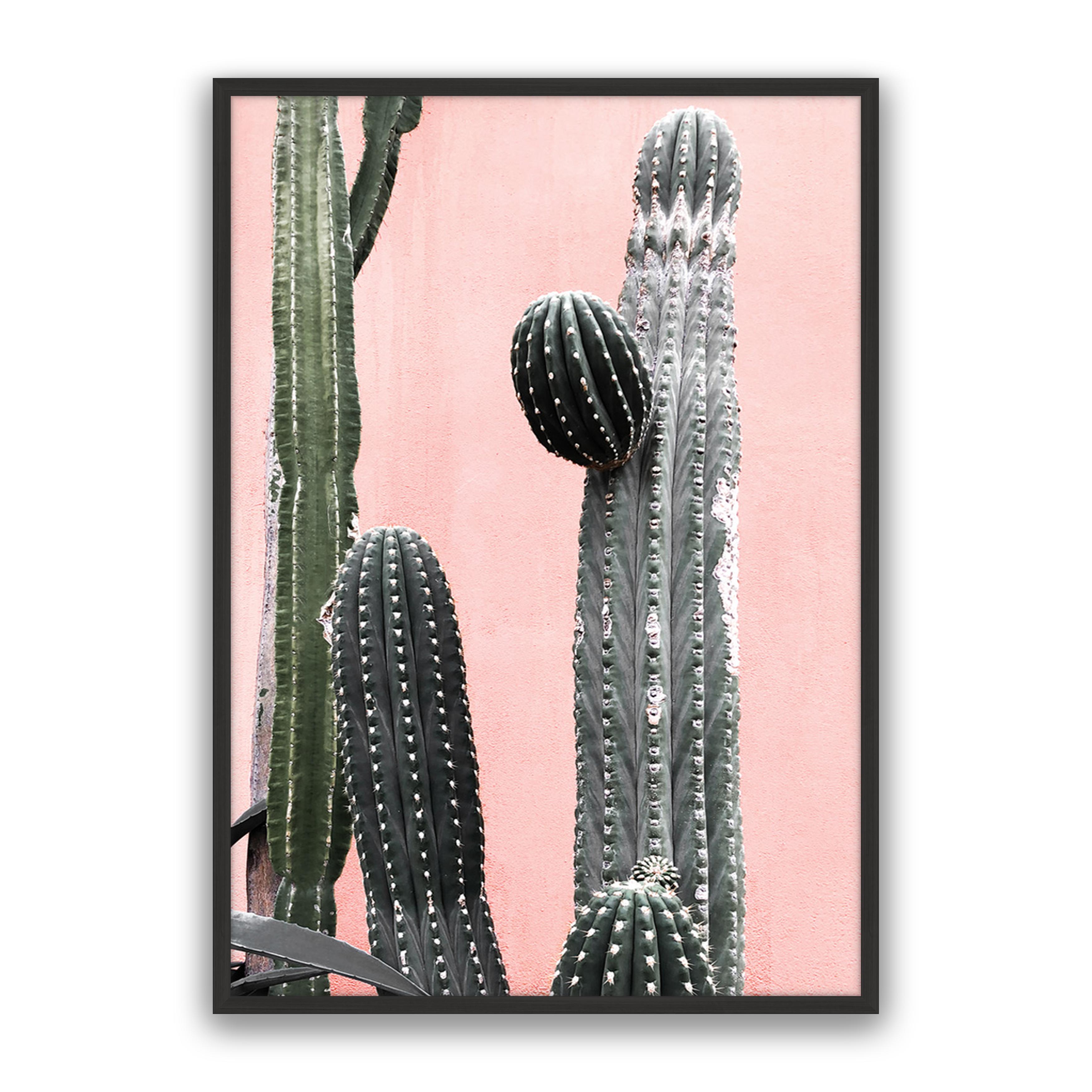 Arizona