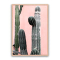 Arizona
