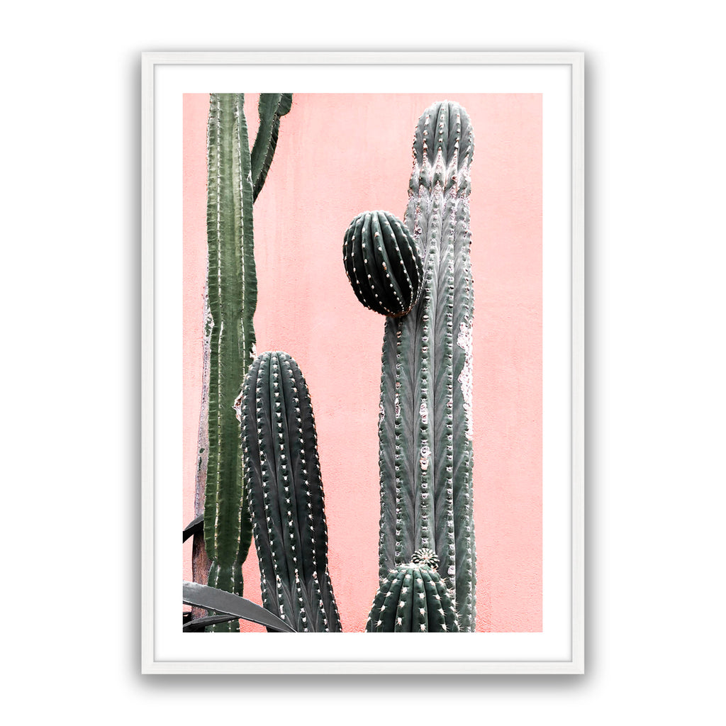 Arizona
