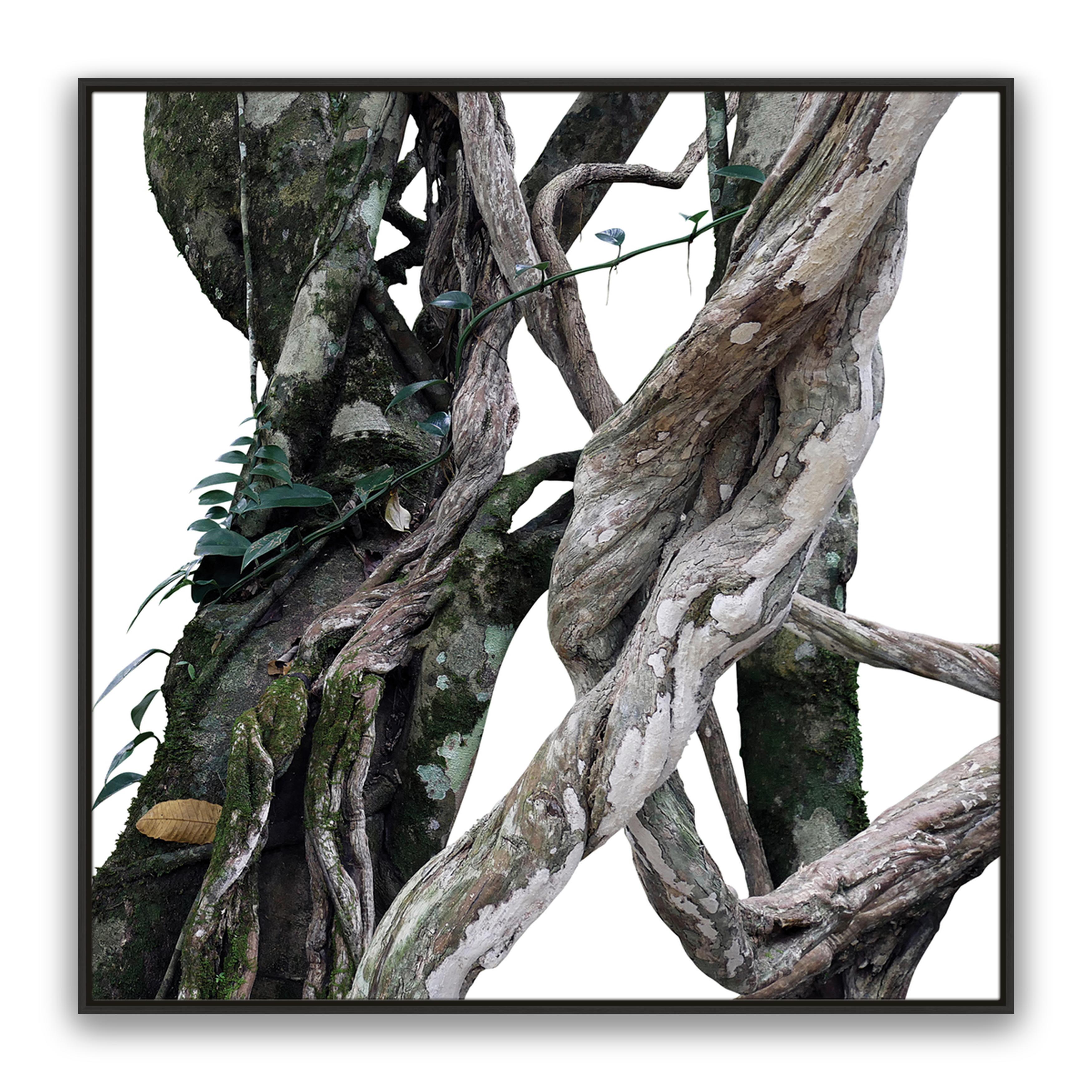 Twisted 1