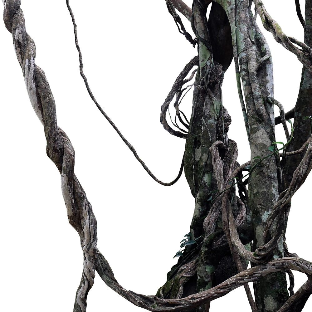 Twisted 2
