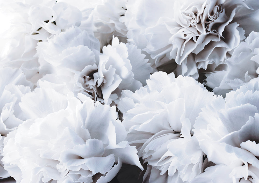 White Floral
