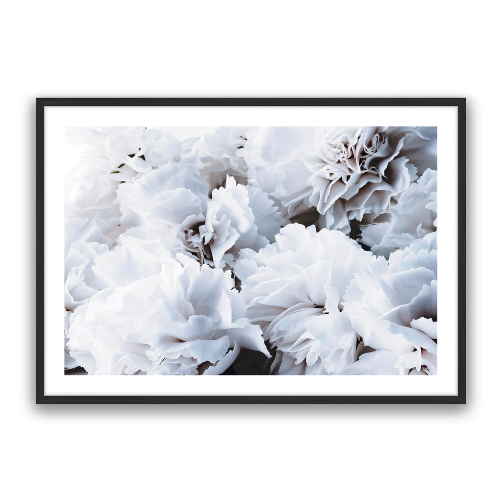 White Floral